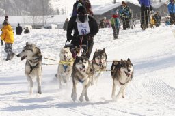 Lenk 2012 SM